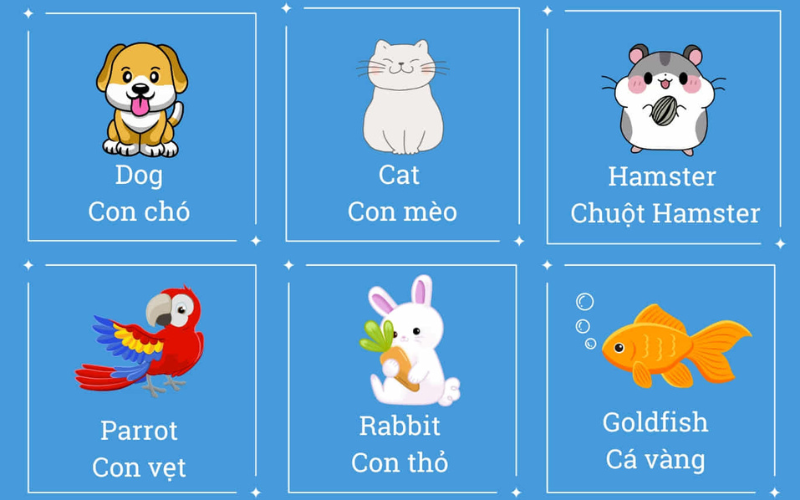 Flashcard chủ đề động vật