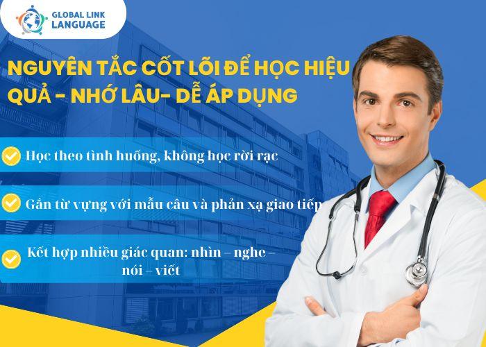 Nguyên tắc cốt lõi để học tiếng Anh chuyên ngành Y dược hiệu quả