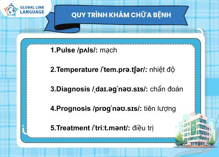 Tiếng Anh ngành Y - Từ vựng về bộ quy trình khám chữa bệnh