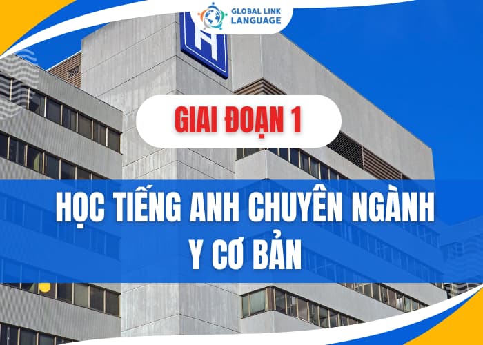 Mới đầu học tiếng Anh chuyên ngành Y bạn sẽ bắt đầu học từ giai đoạn cơ bản trước