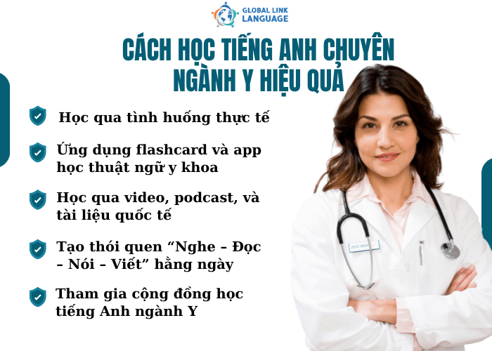Để học và ghi nhớ lâu 300 từ vựng tiếng Anh chuyên ngành Y, bạn phải có phương pháp học hiệu quả