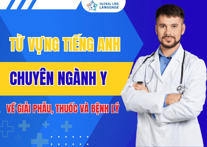 Từ Vựng Tiếng Anh Chuyên Ngành Y Về Giải Phẫu, Thuốc Và Bệnh Lý – Kèm Ví Dụ Dễ Hiểu