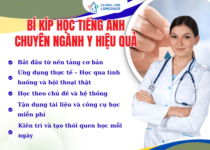 Người mới bắt đầu sẽ thấy rất khó khăn trong việc học tiếng Anh ngành Y, nhưng nếu có phương pháp học phù hợp thì bạn sẽ thấy dễ dàng hơn rất nhiều