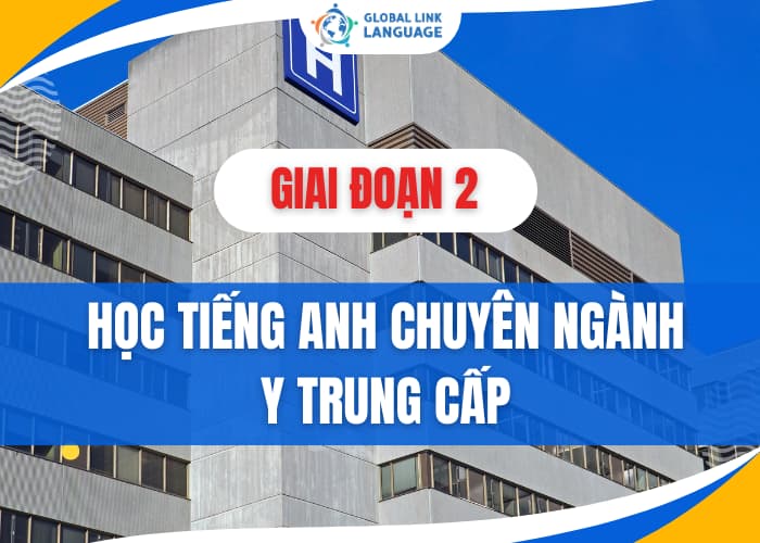 Sau khi đã nắm vững nền tảng tiếng Anh ngành Y cơ bản thì bạn sẽ học lên giai đoạn trung cấp