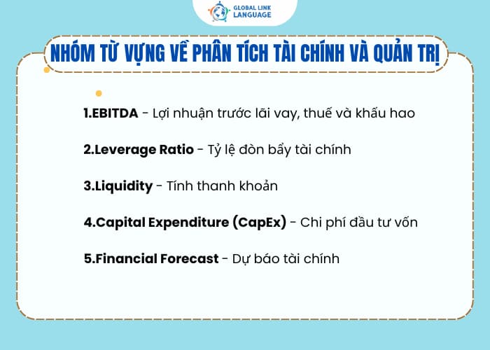 Nhóm từ vựng tiếng Anh Kế toán về phân tích tài chính và quản trị