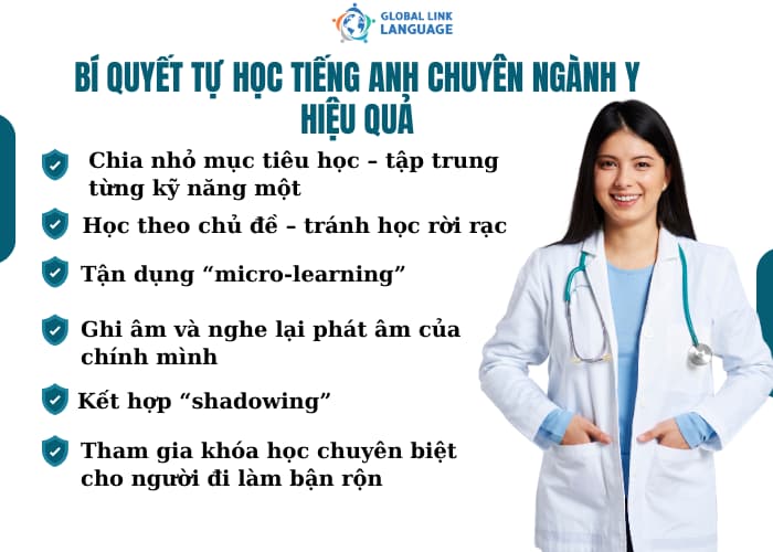 Người đi làm với quỹ thời gian hạn hẹp nên việc học tiếng Anh ngành Y sẽ trở nên khó khăn hơn nhưng nếu bạn có phương pháp phù hợp bạn vẫn có thể tiến bộ rõ rệt