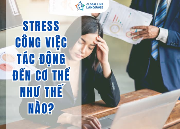 Stress công việc không chỉ là cảm xúc tiêu cực mà nó còn tác động mạnh mẽ đến cơ thể