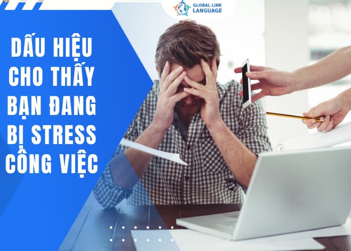 Nhận diện sớm ccacs dấu hiệu stress công việc giúp bạn can thiệp kịp thời tránh nguy cơ kiệt sức kéo dài