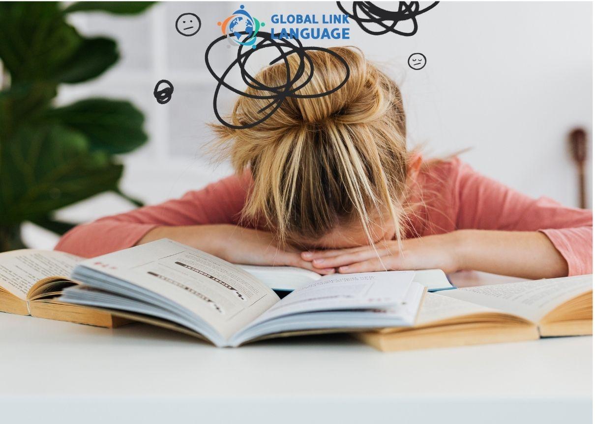 Người mất gốc nên ưu tiên khả năng hướng dẫn từng bước
